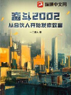 奋斗2002：从合伙人开始发家致富